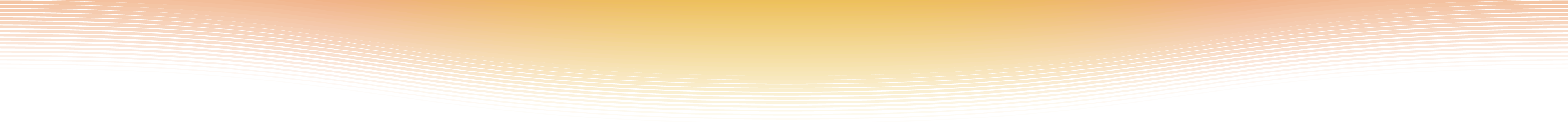 The City of La Puente's Local Aging and Disability Action Plan Program